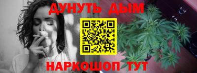 трава Новозыбков