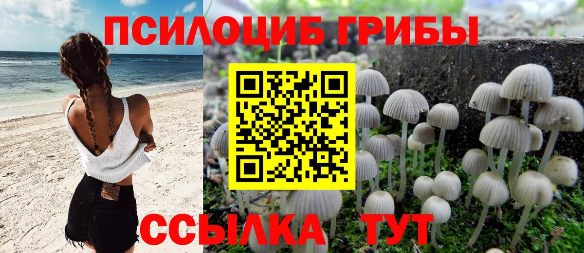Псилоцибиновые грибы прущие грибы Таганрог